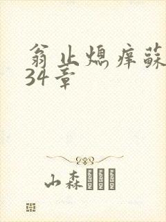 翁止熄痒苏钥第34章