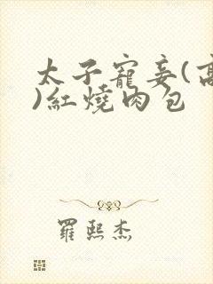 太子宠妾(高肉)红烧肉包