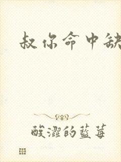 叔你命中缺我