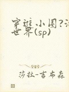 穿进小圈?游戏世界(sp)