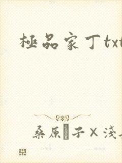 极品家丁txt封面