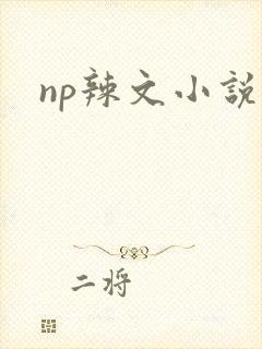 np辣文小说