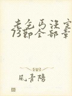 老乞丐没完没了73节全部章节内容