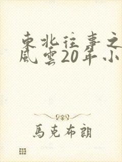 东北往事之黑道风云20年小说封面