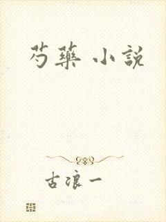 芍药 小说封面