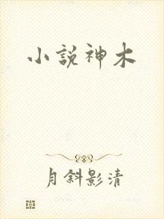 小说神木