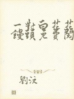 一对白花花的大馒头免费阅读封面