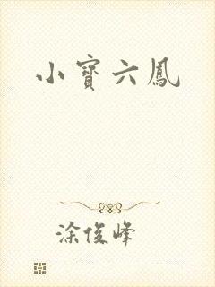 小宝六凤封面