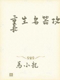 重生名器攻略兄长封面