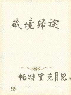 藏境归途封面