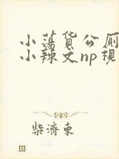 小荡货公厕h文小辣文np视频