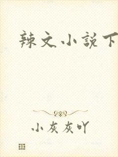 辣文小说下载