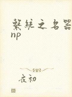 系统之名器攻略np
