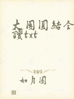 大团圆结全文阅读txt