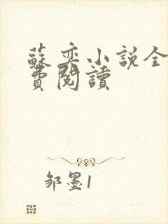 苏奕小说全文免费阅读封面