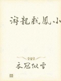游龙戏凤小说