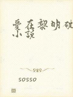 爱在黎明破晓前小说