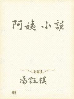 阿姨 小说