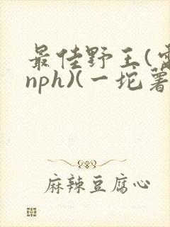 书籍封面