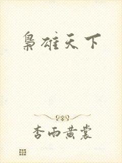 枭雄天下
