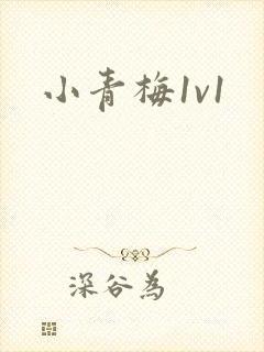 小青梅1v1