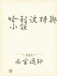 哈利波特与密室小说封面