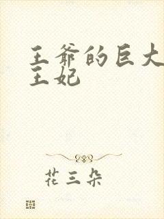 王爷的巨大进入王妃封面
