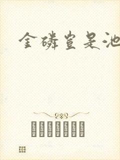 金磷岂是池中物封面