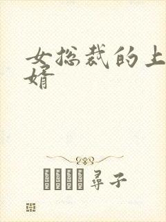 女总裁的上门女婿封面