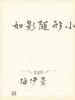 如影随形小说