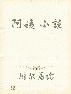 阿姨 小说封面