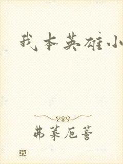 我本英雄小说封面