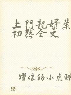 上门龙婿叶辰萧初然全文封面