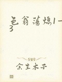色翁荡熄1—13封面
