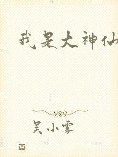 我是大神仙小说