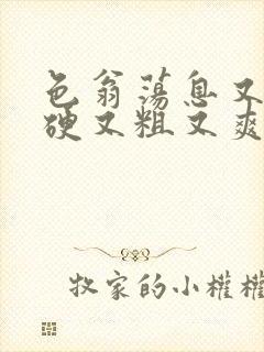 色翁荡息又大又硬又粗又爽封面
