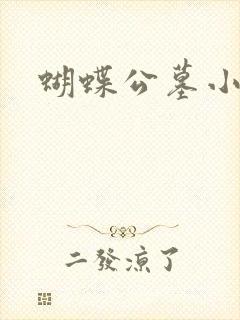 蝴蝶公墓小说封面