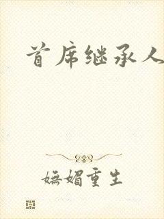 首席继承人封面