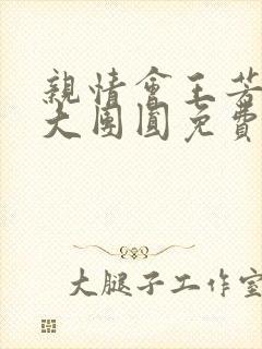 亲情会王芳高敏大团圆免费阅读