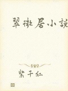 翠微居小说