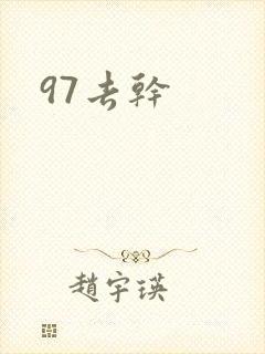 97去干封面