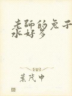老师的兔子好软水好多