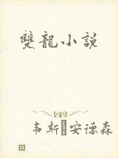 双龙小说