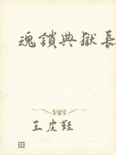 魂锁典狱长封面