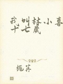 我叫林小喜今年十七岁封面