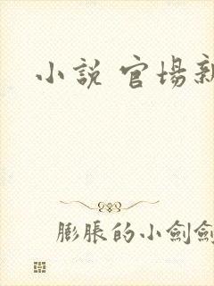 小说 官场新贵封面