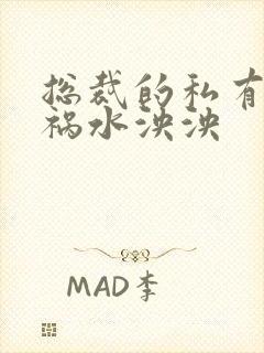 总裁的私有宝贝祸水泱泱
