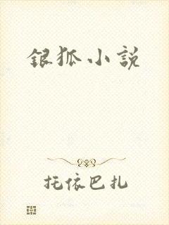 银狐小说
