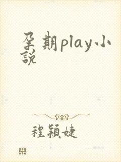 孕期play小说封面