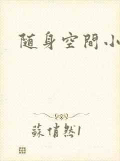 随身空间小说